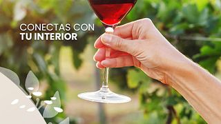 Viñedos Azteca: A Hidden Gem in Querétaro