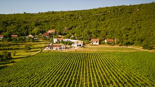 Deluxe-Weinprobe im Weingut Krolo 