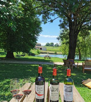 Degustação de vinhos e tour em Vignobles Carles