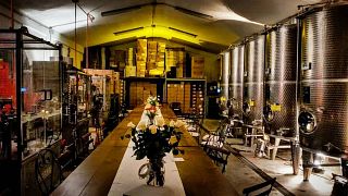 “IDENTITY” Tasting  at the Colle Picchioni winery