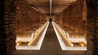 Wine tour and Wine tasting