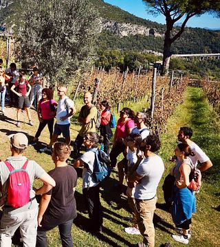 Picnic en el viñedo de Le Vigne Di Raito