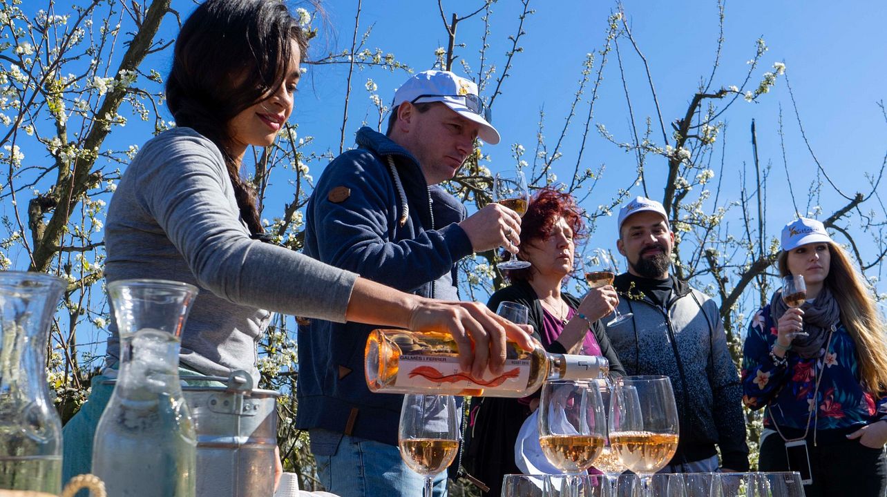 Visita a una bodega en grupos pequeños