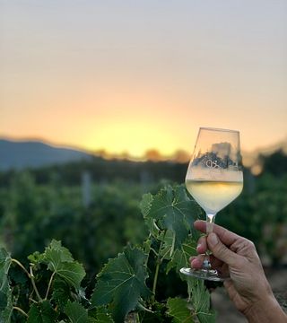 Wine Tasting and Tour at Azienda Agraria Santa Lucia