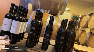 Degustazione di vini - Versamento dei vini dalle botti con il ladro di vino