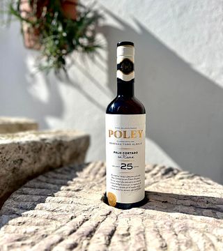 Itinerario dell'Archeologo | Degustazione di vini e tour alle Bodegas Toro Albalá