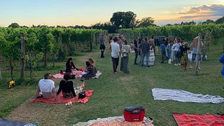 Weinprobe und Tour bei Tarlao Vignis in Aquileia