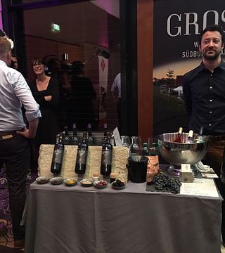 Degustação de vinhos e tour em Weingut Grosz