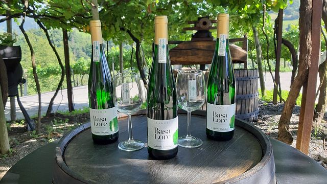 Dégustation de vins et visite à Txakoli Basa Lore