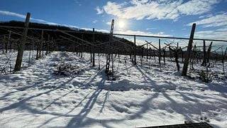 Clementi Winery