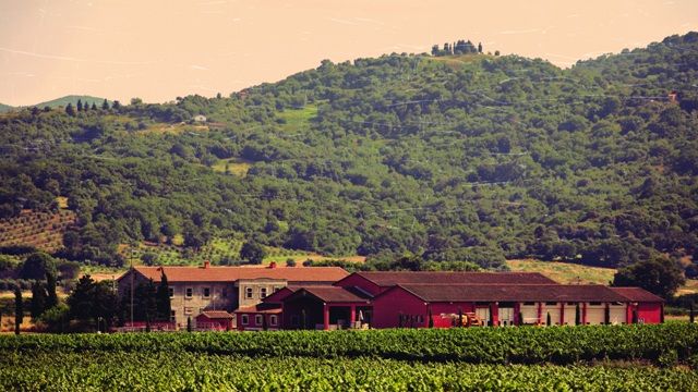 Tenuta Fertuna