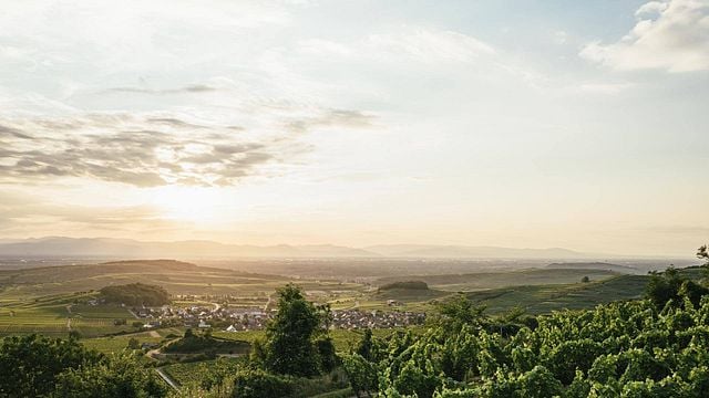 Kaiserstuehler Winzerverein Oberrotweil