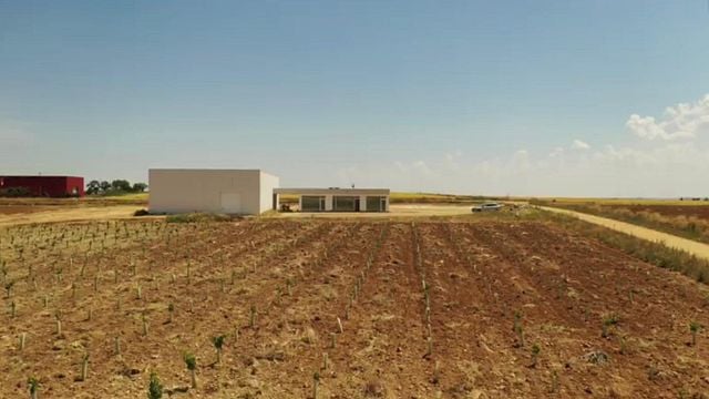 Cata de vinos y tour en Discolo