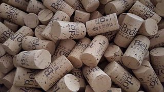 Weinprobe und Führung im Weingut Belo Brdo