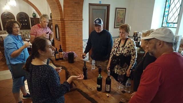 Best Flavors of Bairrada (half day tour)