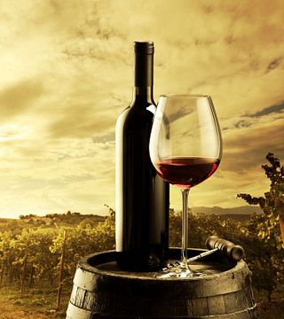 Cantina Ortenzi
