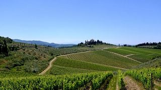 Chianti, Trekking nella Terra del Vino!