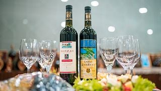 Tovuz Baltiya Winery