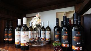 Vinprovning och rundtur på Bruscia Vini