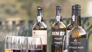 Degustazione di vini e tour a Quinta Do Panascal