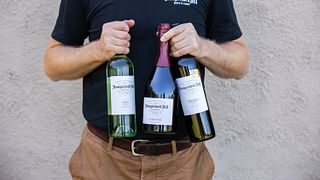 Hungerford Hill Winery