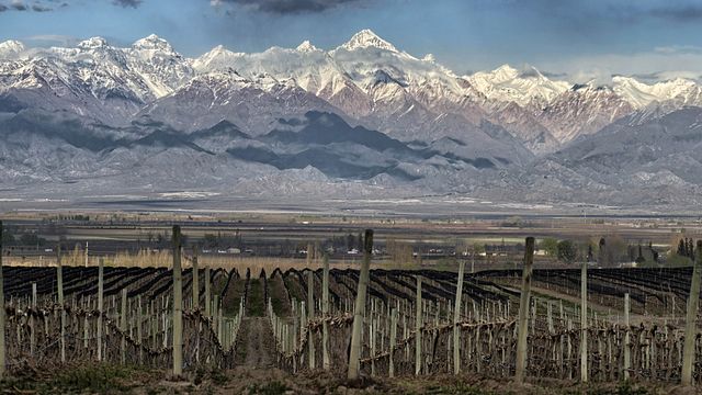 Antigal Winery & Estates