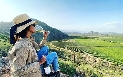 Un'esperienza di vacanza al Chañarmuyo Wine Lodge