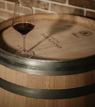 Dégustation de vins et visite à la Cantine Paradiso