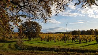 Podere Marella