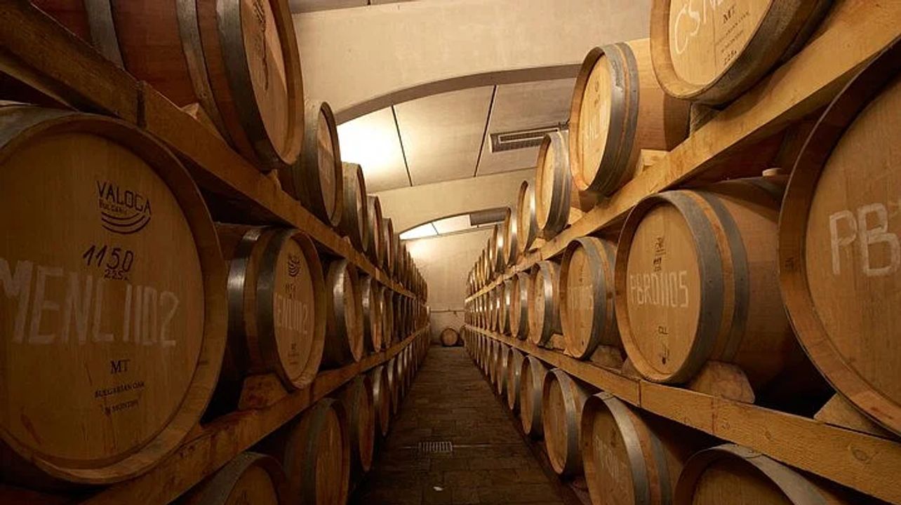 Privat vinupplevelse i Edoardo Miroglio Winery