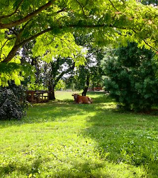 MAGULA: Esperienza picnic in vigna per 2