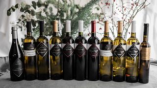 Weinprobe mit lokalen Vorspeisen und Führung im Weingut Degrassi