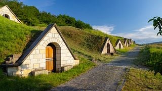 Wine Tasting with Tokaji Aszú at a UNESCO Heritage Wine Cellar