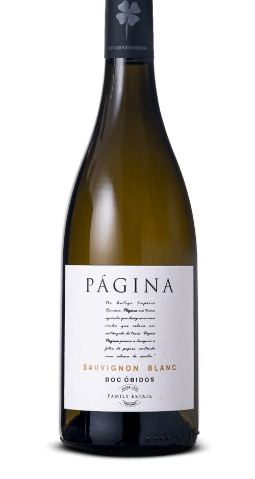 Página Sauvignon Blanc