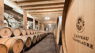 Vinprovning och konstgalleri på Chateau Vignelaure
