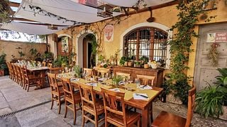 Dégustation de vins et visite chez Bio Vio