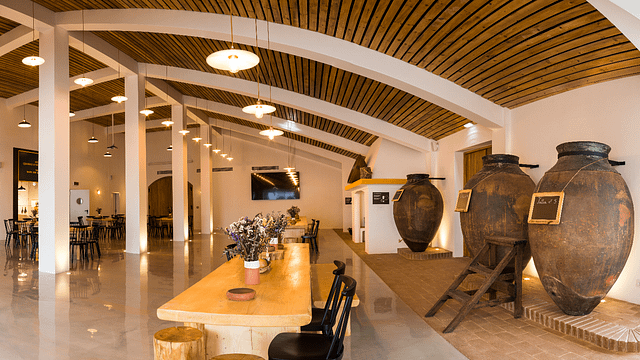 Cata de vinos premium con aperitivos locales