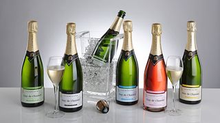 Degustazione e tour di champagne allo Champagne Guy de Chassey