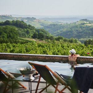 Villa di lusso ad uso esclusivo - Peterc Vineyard Estate