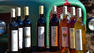 Languedoc-Roussillon: Sustainable Wine & Nature Escape