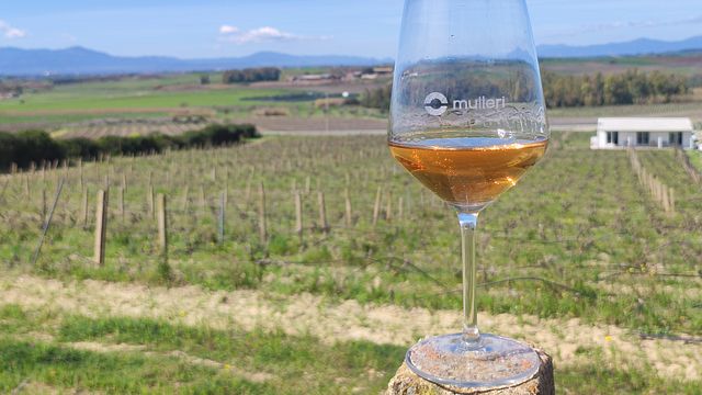 Enjoy Sardinia’s Old Vines with Artisanal Bites