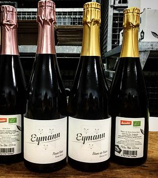 Pfalz Wine & Palestinian Flavors at Weingut Eymann