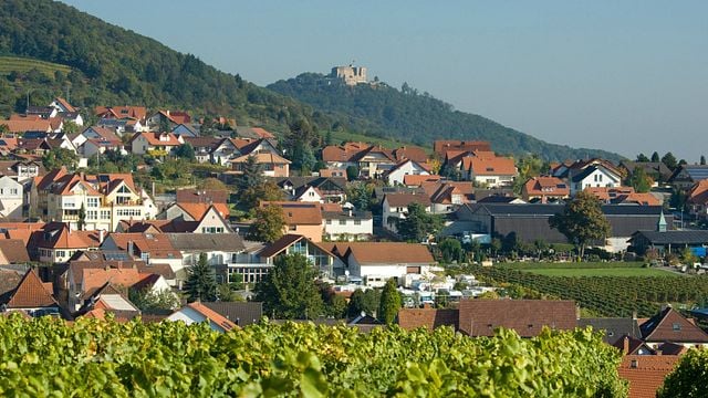  Randonnée dans les vignobles avec dégustation de vin