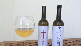 Weinprobe und Tour im Weingut Elizbar Talakvadze