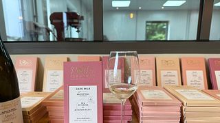 Wine tasting with chocolate (3 wines)