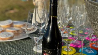 Queensland’s Organic Wine Journey at Kingsley Grove