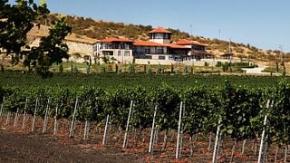 Weinprobe und Führung im Weinkeller der Brüder Minkov