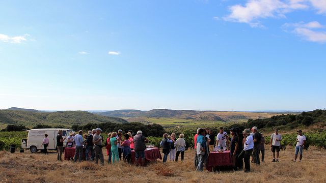 Cata de vinos y visita guiada al Domaine Ollier Taillefer