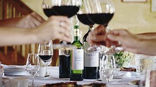 Cata de 3 vinos de nuestra finca Graves