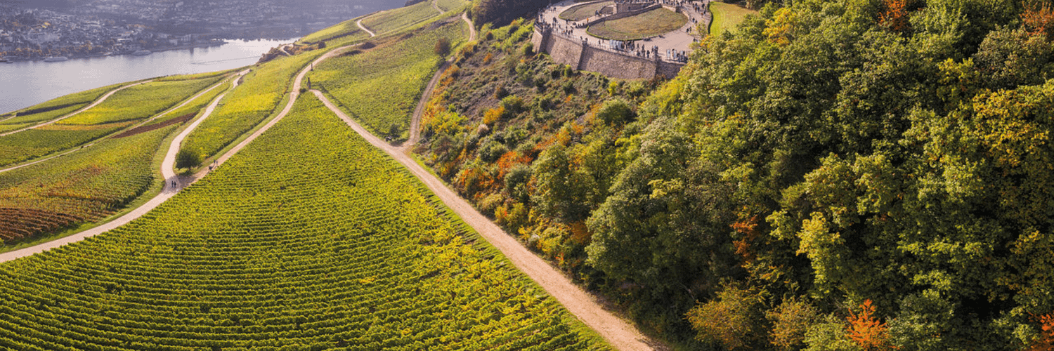 Rüdesheim